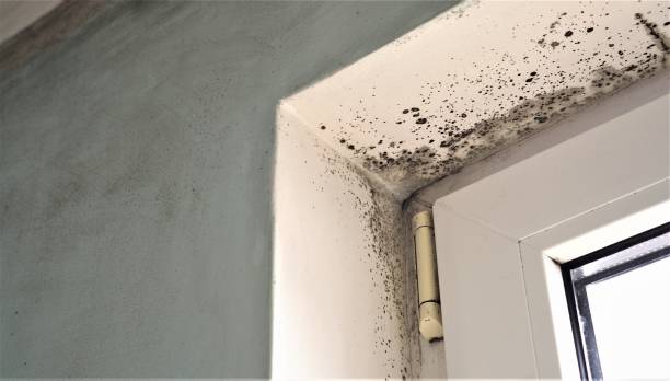 Best HVAC Mold Inspection and Cleaning  in Orange Cove, CA