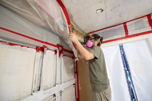 Best Residential Mold Inspection & Testing  in Orange Cove, CA