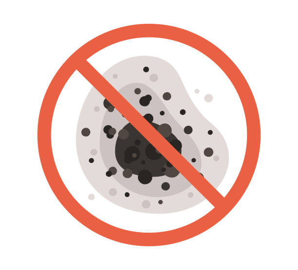 Best Mold Odor Removal Services  in Orange Cove, CA